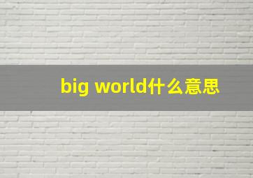 big world什么意思